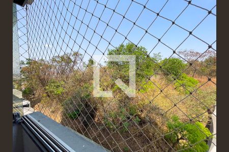 Vista da Varanda de apartamento para alugar com 2 quartos, 60m² em Teixeira Dias (barreiro), Belo Horizonte
