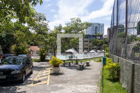 Apartamento para alugar com 64m², 2 quartos e 1 vaga Apartamento para alugar com 64m², 2 quartos e 1 vagaÁrea comum - Piscina