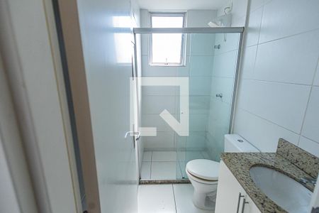 Banheiro de apartamento para alugar com 2 quartos, 60m² em Santa Amelia, Belo Horizonte