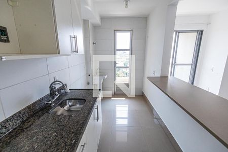 Cozinha de apartamento para alugar com 2 quartos, 60m² em Santa Amelia, Belo Horizonte