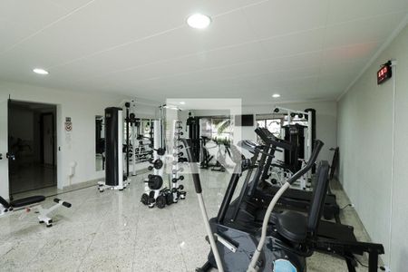 Apartamento à venda com 125m², 3 quartos e 3 vagas Apartamento à venda com 125m², 3 quartos e 3 vagasAcademia