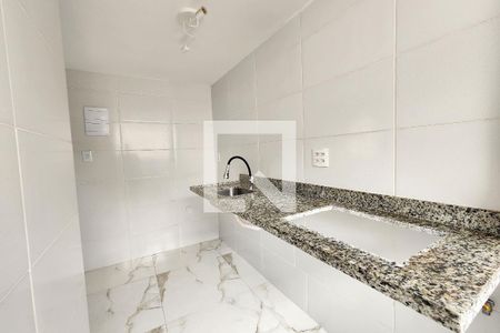 Cozinha de apartamento para alugar com 2 quartos, 55m² em Laranjeiras, Rio de Janeiro