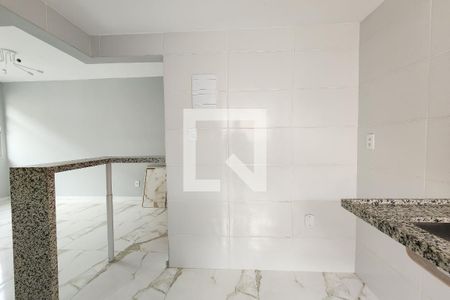 Cozinha de apartamento para alugar com 2 quartos, 55m² em Laranjeiras, Rio de Janeiro