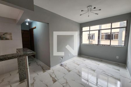 Sala de apartamento para alugar com 2 quartos, 55m² em Laranjeiras, Rio de Janeiro