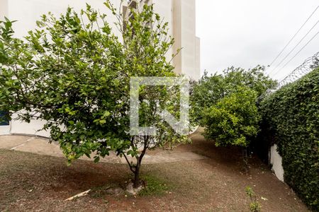 Apartamento para alugar com 58m², 2 quartos e 1 vagaÁrea comum