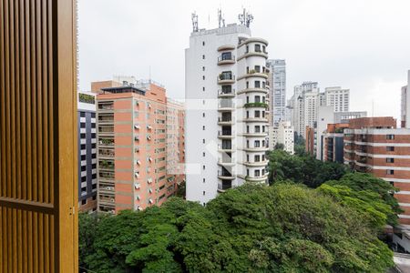 Vista de apartamento para alugar com 1 quarto, 20m² em Moema, São Paulo