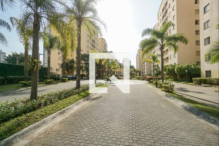 Apartamento para alugar com 70m², 3 quartos e 1 vagaCondomínio 