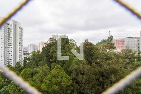 Varanda gourmet de apartamento para alugar com 2 quartos, 68m² em Vila Andrade, São Paulo