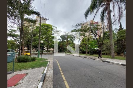 Apartamento para alugar com 88m², 3 quartos e 1 vagaJardim