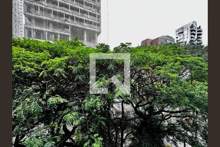 Studio para alugar com 27m², 1 quarto e sem vagaVista