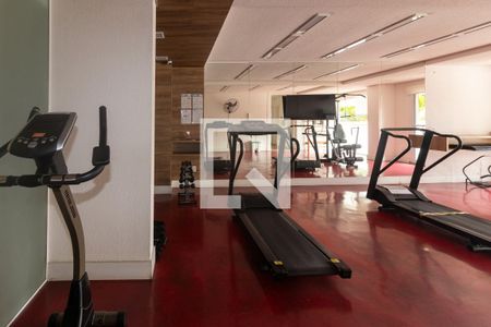 Área comum - Academia de apartamento para alugar com 1 quarto, 26m² em Granja Viana, Cotia