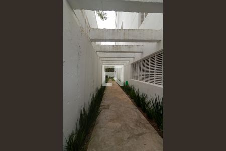 Apartamento para alugar com 26m², 1 quarto e 1 vaga Apartamento para alugar com 26m², 1 quarto e 1 vagaPet Place