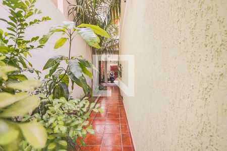Apartamento à venda com 230m², 4 quartos e 4 vagasQuintal / Lavanderia
