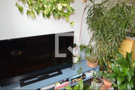 Sala de apartamento à venda com 2 quartos, 32m² em Cambuci, São Paulo