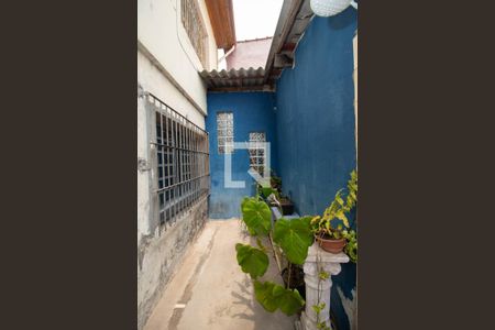 Casa à venda com 385m², 3 quartos e 8 vagasQuintal