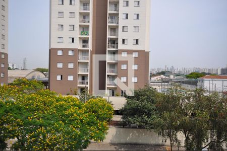 Vista do Quarto 1 de apartamento à venda com 3 quartos, 64m² em Vila Guilherme, São Paulo