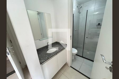 Banheiro de apartamento para alugar com 1 quarto, 30m² em Várzea da Barra Funda, São Paulo