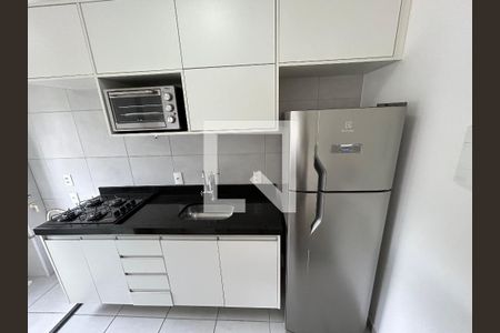 Cozinha de apartamento para alugar com 1 quarto, 30m² em Várzea da Barra Funda, São Paulo