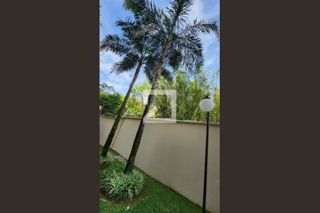 Apartamento para alugar com 56m², 2 quartos e 1 vaga Apartamento para alugar com 56m², 2 quartos e 1 vagaJardim