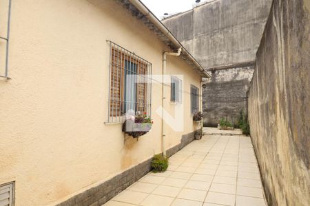 Casa para alugar com 120m², 3 quartos e 6 vagasQuintal