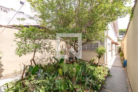 Casa à venda com 161m², 3 quartos e 2 vagas Casa à venda com 161m², 3 quartos e 2 vagasQuintal