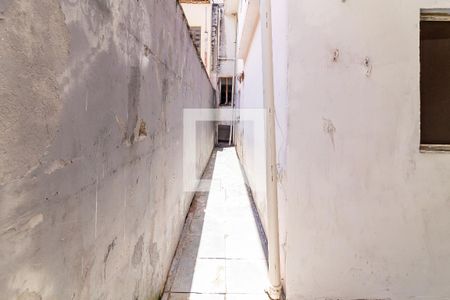 Casa à venda com 180m², 5 quartos e sem vagaQuintal / Lavanderia