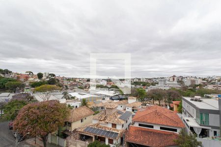 Vista da Varanda da sala de apartamento à venda com 4 quartos, 161m² em Castelo, Belo Horizonte