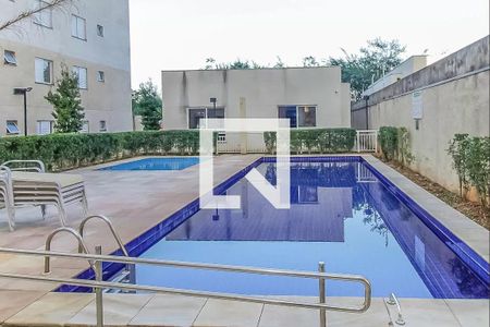 Área comum - Piscina de apartamento para alugar com 2 quartos, 45m² em Quinta da Paineira, São Paulo
