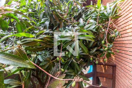 Casa de condomínio para alugar com 575m², 7 quartos e 6 vagasVista da Varanda