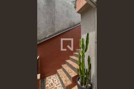 Quintal de casa para alugar com 3 quartos, 144m² em Vila Rui Barbosa, São Paulo
