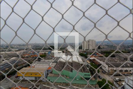 Apartamento para alugar com 55m², 2 quartos e 1 vaga Apartamento para alugar com 55m², 2 quartos e 1 vagaVista do Quarto 1