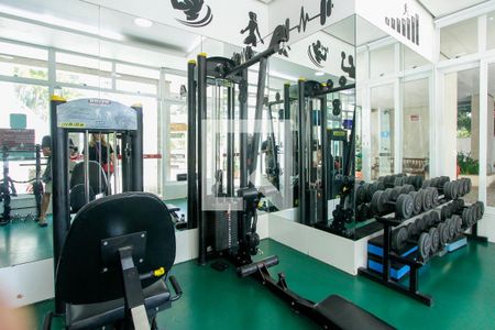 Apartamento à venda com 62m², 2 quartos e 1 vaga Apartamento à venda com 62m², 2 quartos e 1 vagaÁrea comum - Academia