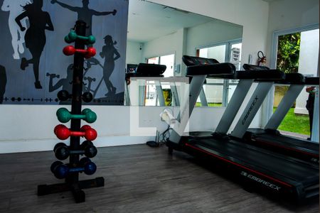 Apartamento para alugar com 49m², 2 quartos e 1 vaga Apartamento para alugar com 49m², 2 quartos e 1 vagaÁrea comum - Academia