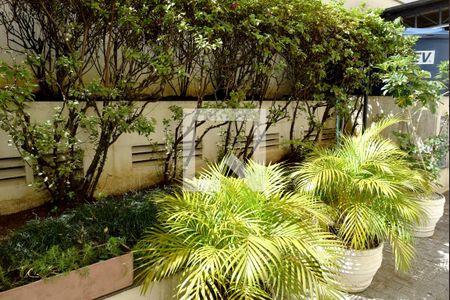 Apartamento para alugar com 55m², 1 quarto e 1 vagaÁrea comum