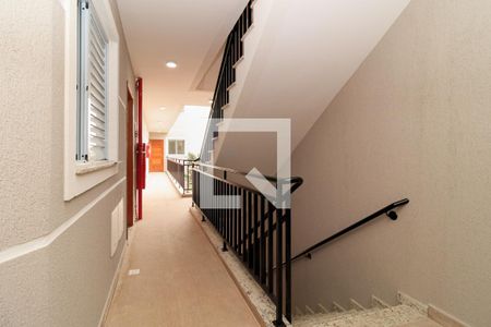 Área comum de apartamento para alugar com 2 quartos, 49m² em Vila Mazzei, São Paulo