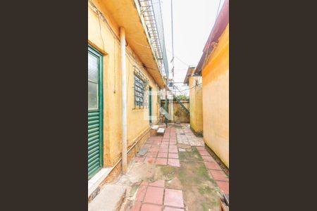 Casa de condomínio para alugar com 25m², 1 quarto e sem vaga Casa de condomínio para alugar com 25m², 1 quarto e sem vagaQuintal