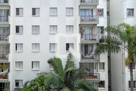 Apartamento para alugar com 50m², 2 quartos e 1 vaga Apartamento para alugar com 50m², 2 quartos e 1 vagaVista Quarto II