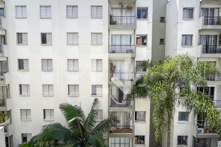 Apartamento para alugar com 50m², 2 quartos e 1 vaga Apartamento para alugar com 50m², 2 quartos e 1 vagaVista Área Serviço