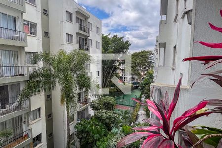 Apartamento para alugar com 50m², 2 quartos e 1 vaga Apartamento para alugar com 50m², 2 quartos e 1 vagaVIsta Sacada