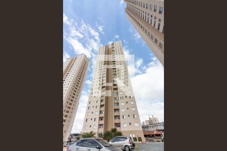 Apartamento à venda com 74m², 3 quartos e 1 vagaGaragem