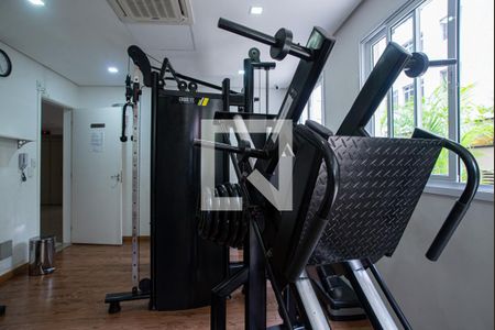 Apartamento para alugar com 54m², 2 quartos e 1 vaga Apartamento para alugar com 54m², 2 quartos e 1 vagaÁrea comum - Academia