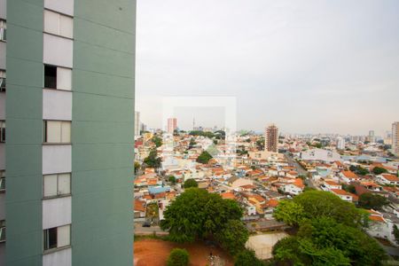 Apartamento à venda com 55m², 2 quartos e 1 vaga Apartamento à venda com 55m², 2 quartos e 1 vagaVista do quarto 2