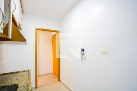 Cozinha de apartamento para alugar com 2 quartos, 55m² em Vila Valparaíso, Santo André