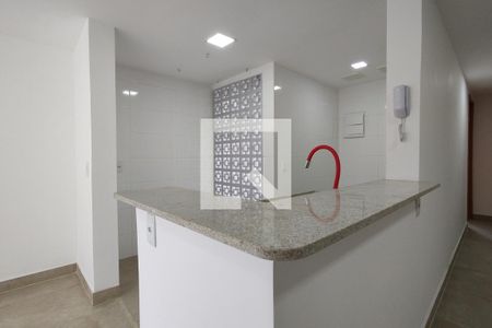 Apartamento para alugar com 60m², 2 quartos e sem vagaCozinha - Armários