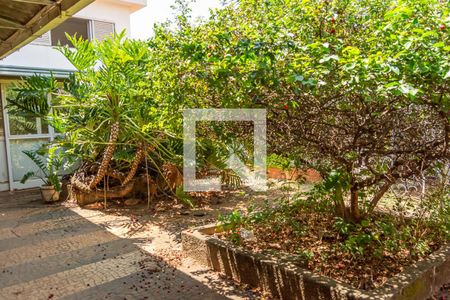 Casa para alugar com 300m², 3 quartos e 4 vagasQuintal fundos