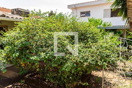 Casa para alugar com 300m², 3 quartos e 4 vagasQuintal fundos