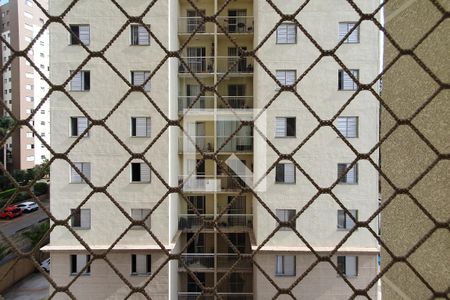 Varanda da Sala - vista  de apartamento para alugar com 3 quartos, 59m² em Planalto, São Bernardo do Campo