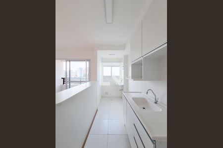 Cozinha de apartamento para alugar com 1 quarto, 32m² em Vila Paulicéia, São Paulo