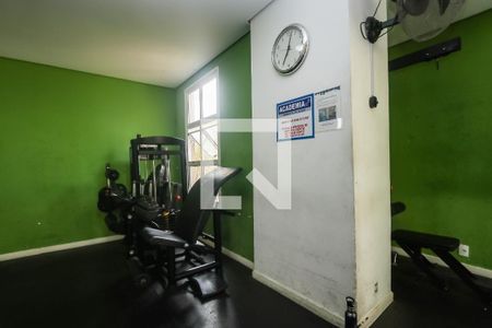 Apartamento para alugar com 73m², 3 quartos e 1 vaga Apartamento para alugar com 73m², 3 quartos e 1 vagaÁrea comum - Academia