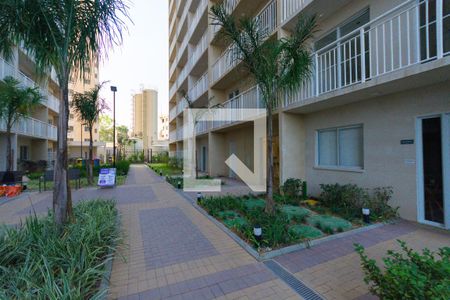 Apartamento para alugar com 31m², 1 quarto e sem vagaÁrea comum